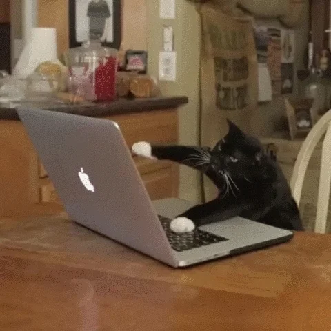 code review by cats