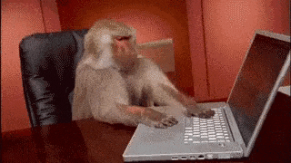 monkey reviewing the code